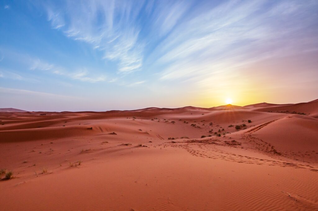 landscape sand dunes with animal tracks against sunset sky -