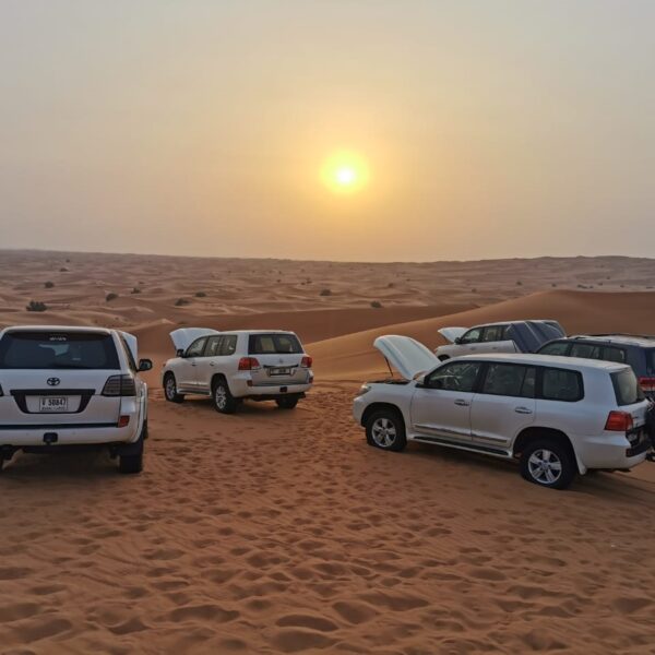 desert trips -