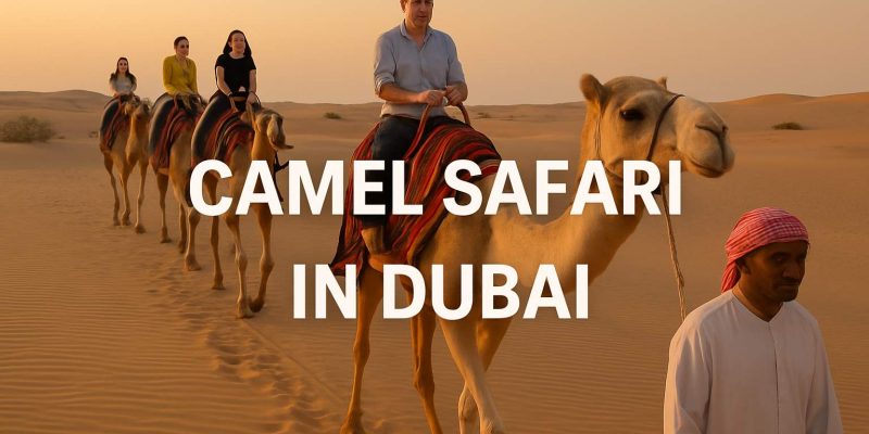Camel Safari in Dubai